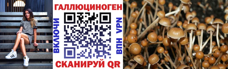 где купить наркоту  ссылка на мегу зеркало  Галлюциногенные грибы прущие грибы  Пыть-Ях 