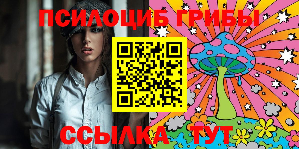Пыть-Ях  Псилоцибиновые грибы Psilocybine cubensis  Вход с VPN 